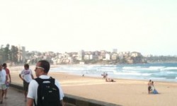 IMG_0986 IMG_0986