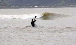 IMG_3267 IMG_3267