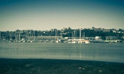 Napier Habour