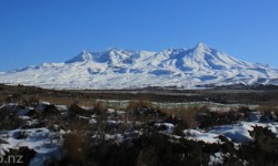Ruapheu