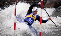 IMG_7519 IMG_7519