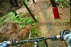 Mountain Biking Images